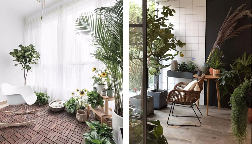 Balcony Garden