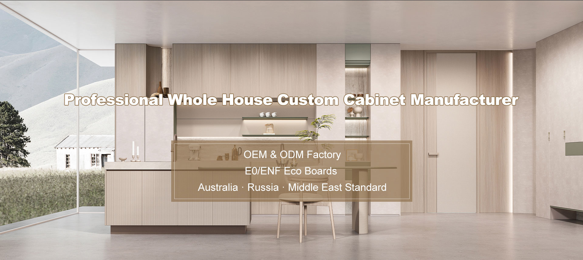 Kitchen Cabinet