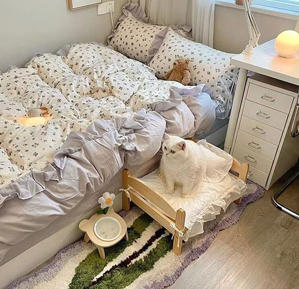Pet Furniture