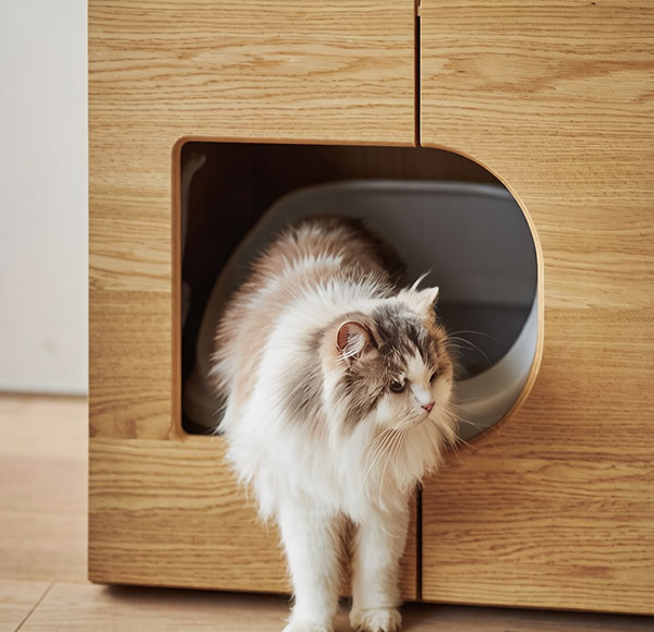  Pet Furniture