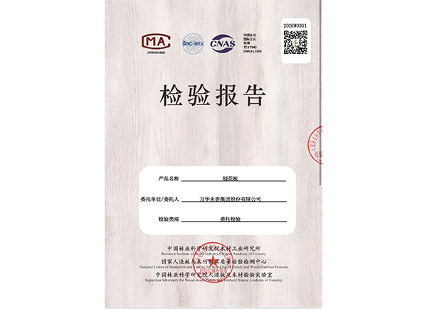 Test Report